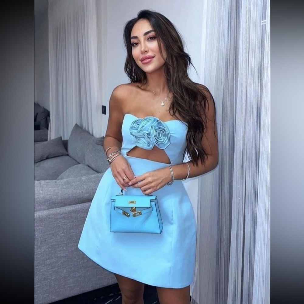 Blue rose mini dress